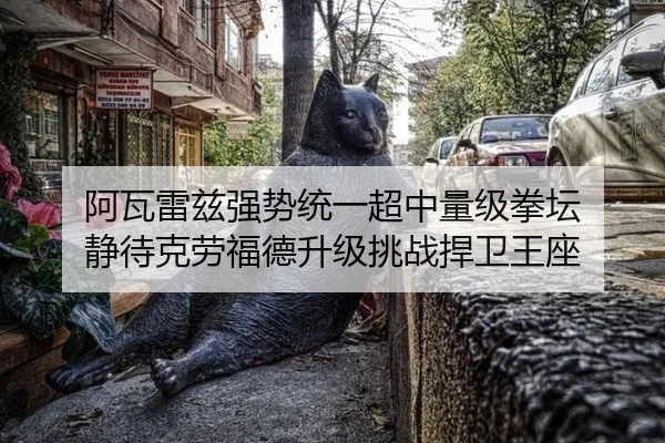 a-wa-lei-zi-qiang-shi-tong-yi-chao-zhong-liang-ji-quan-tan-jing-dai-ke-lao-fu-de-sheng-ji-tiao-zhan-han-wei-wang-zuo-2-329.jpg