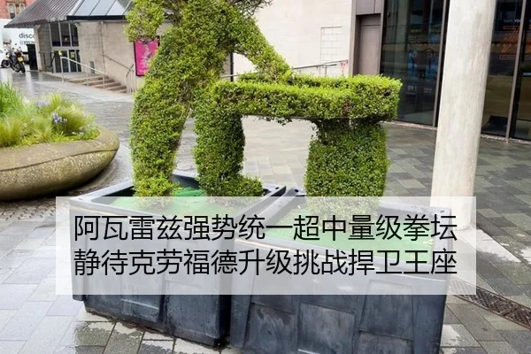 阿瓦雷兹强势统一超中量级拳坛 静待克劳福德升级挑战捍卫王座